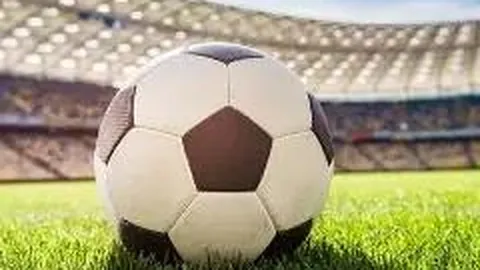 金宝博204bet体育 产品 141025 cor