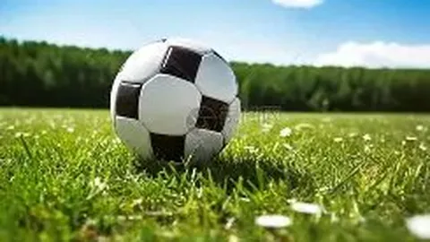 CBA半决赛G4：辽粤生死对决抢五生死战