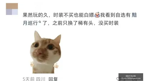 新西兰对决：圣徒与鲨鱼之战，战况